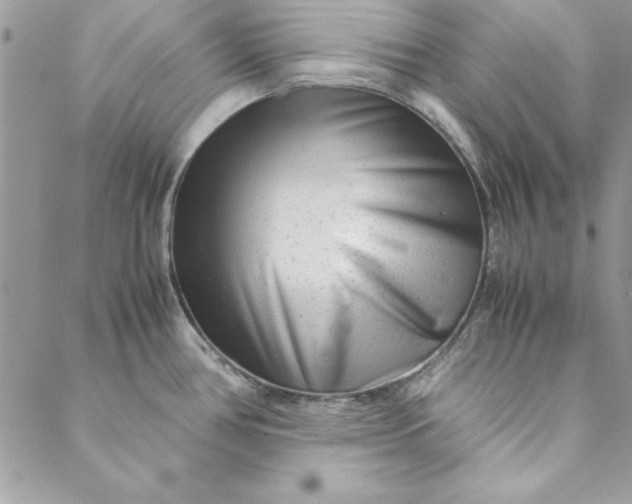 X0000088721386200706141602