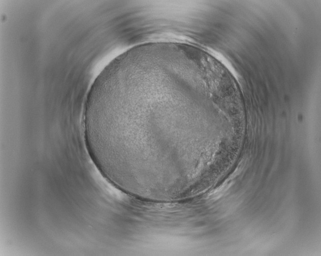 X0000088721387200706141602