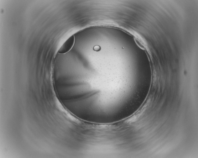 X0000088721390200706141602