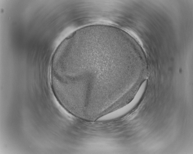 X0000088721391200706141602