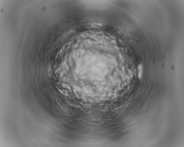 X0000088721395200706141601