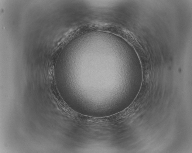 X0000088721397200706141601