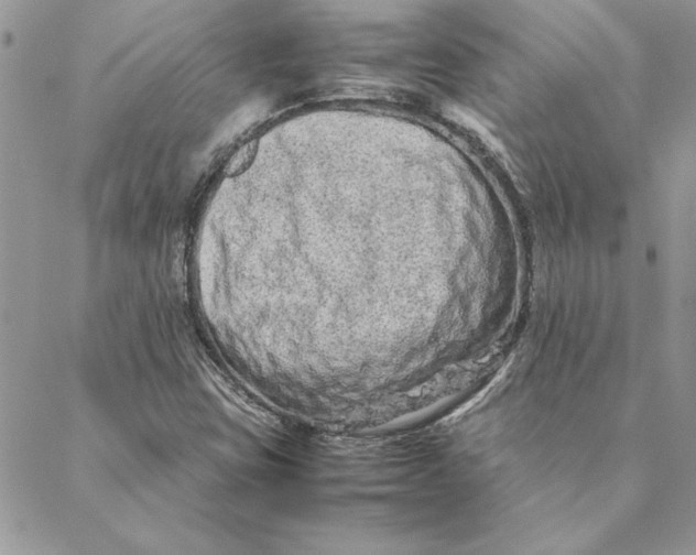 X0000088721403200706141601