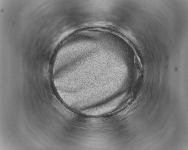 X0000088721404200706141601