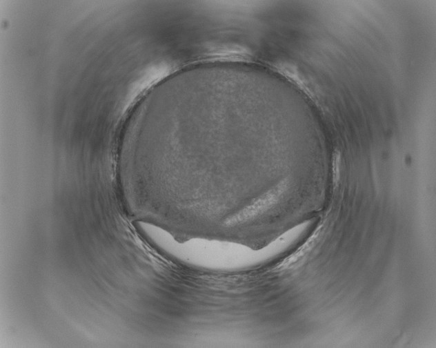 X0000088721405200706141601