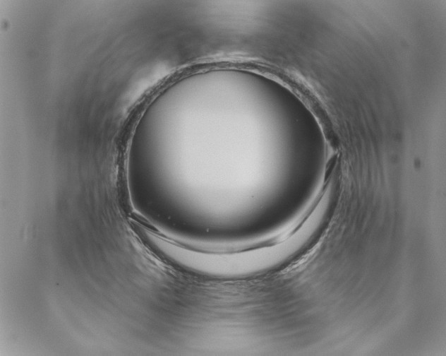 X0000088721406200706141601