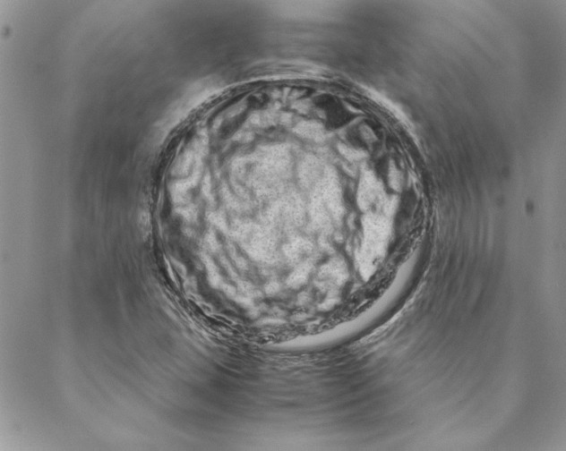 X0000088721407200706141601