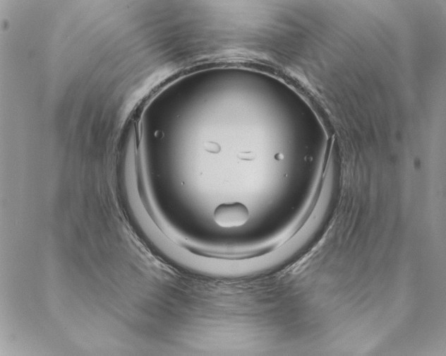 X0000088721410200706141601