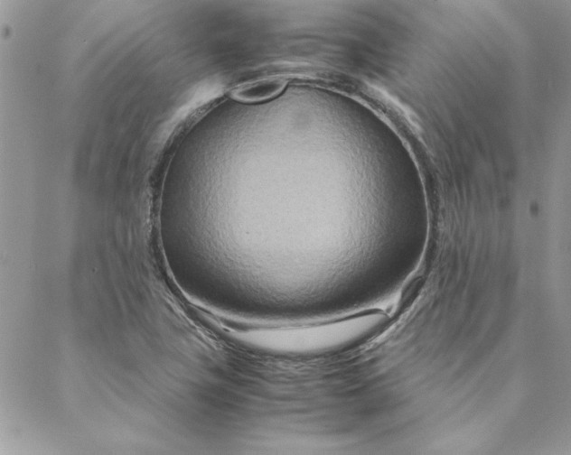 X0000088721411200706141602