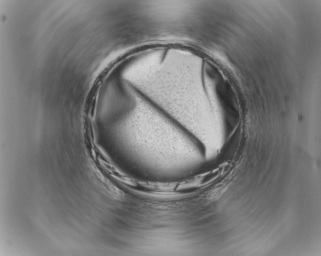 X0000088721412200706141602