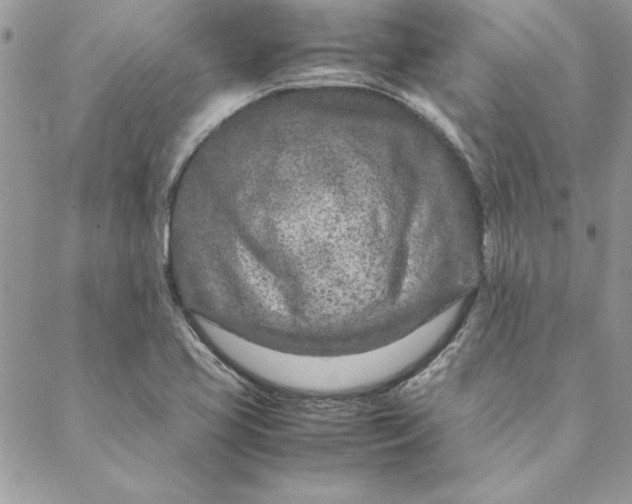 X0000088721413200706141602