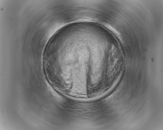 X0000088721423200706141602
