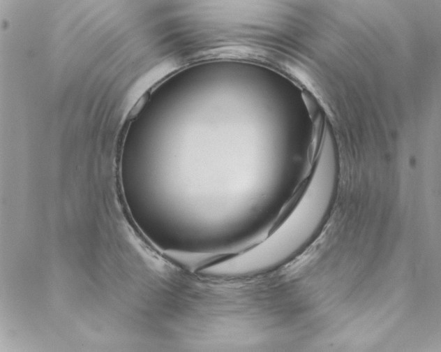 X0000088721426200706141602