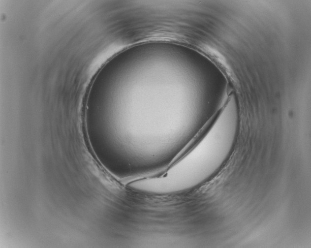 X0000088721427200706141602