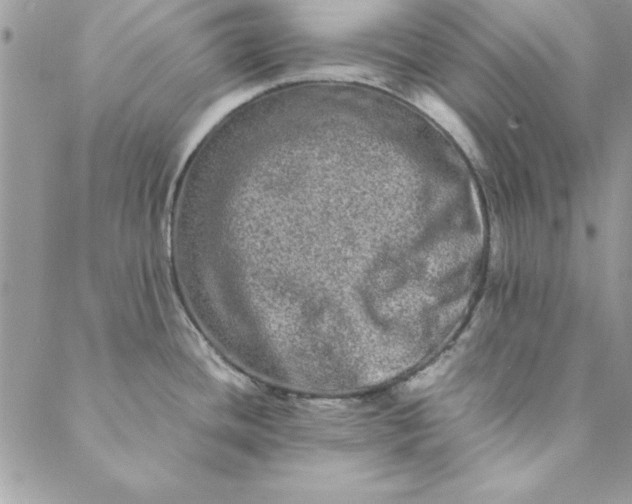 X0000088721436200706141602