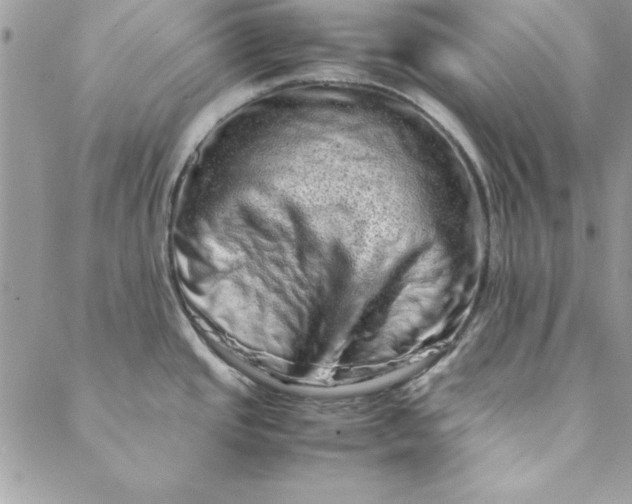 X0000088721437200706141602