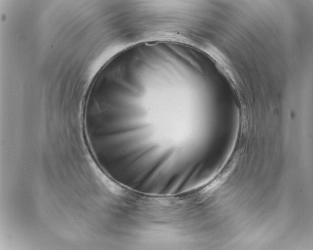 X0000088721438200706141602