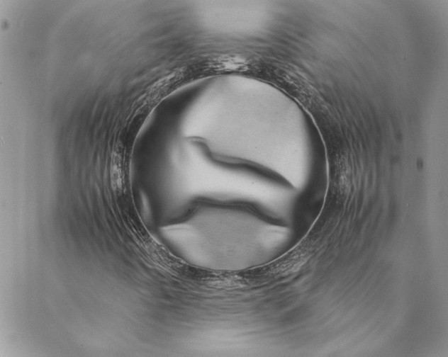 X0000088721442200706141601