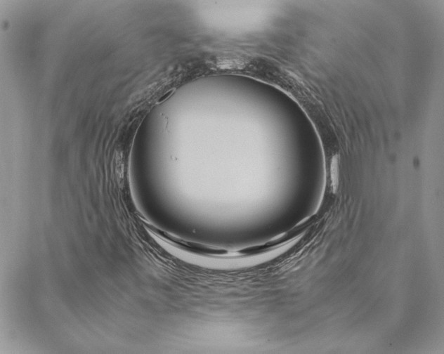 X0000088721443200706141601