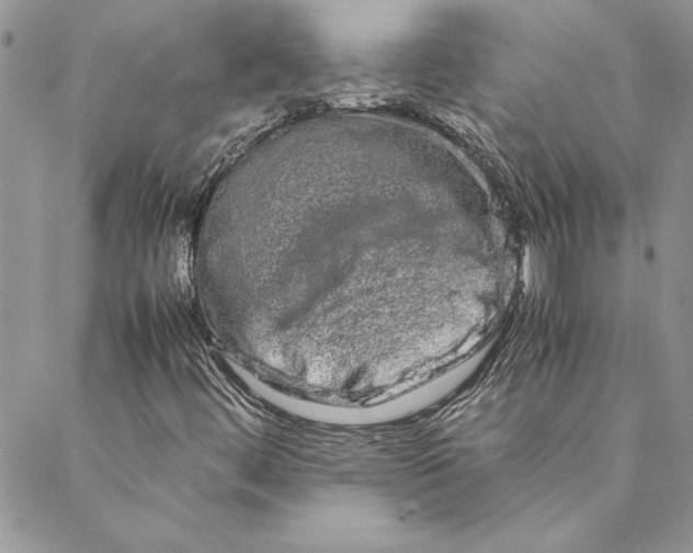 X0000088721444200706141601