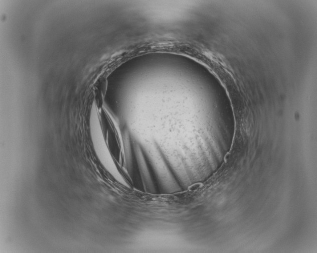 X0000088721445200706141601