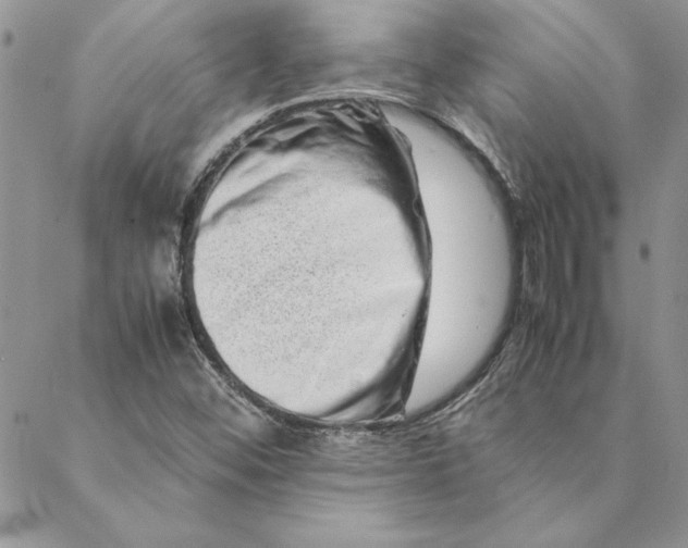 X0000088721452200706141601