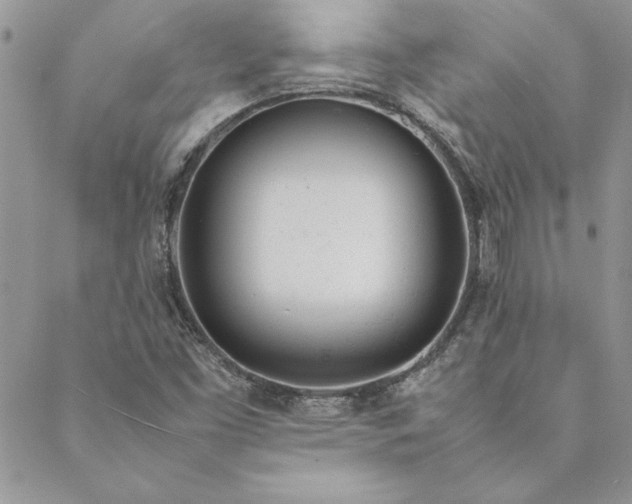 X0000088721453200706141601