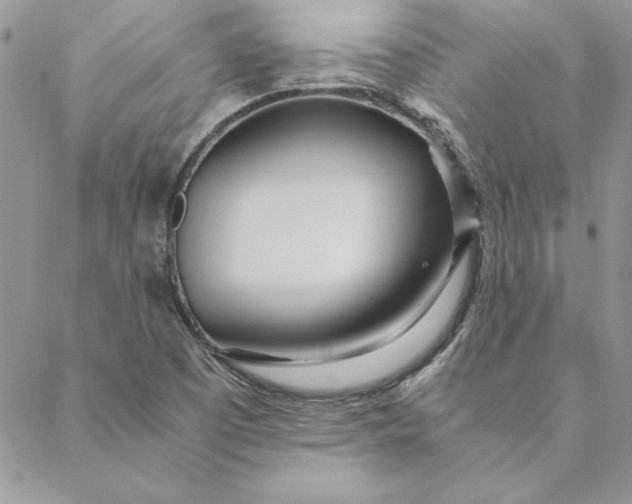 X0000088721457200706141601
