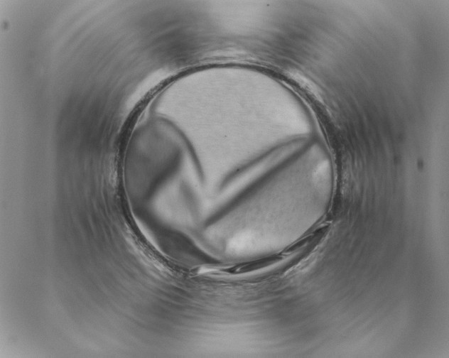 X0000088721458200706141601