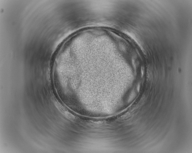 X0000088721460200706141601