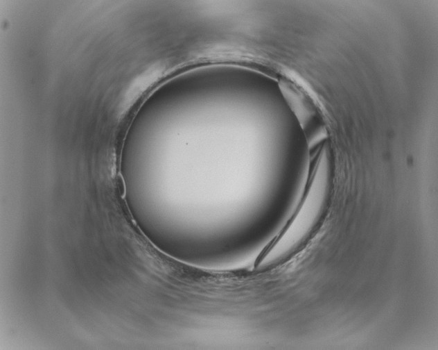X0000088721461200706141601