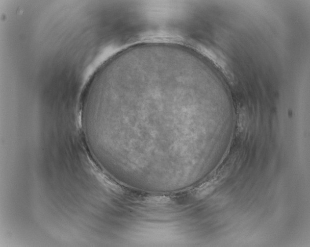X0000088721462200706141601