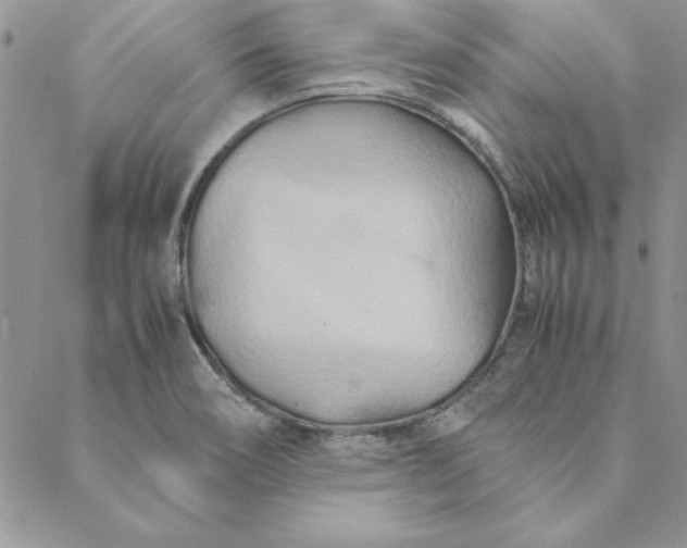 X0000088721466200706141601