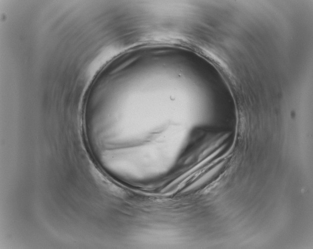 X0000088721471200706141601