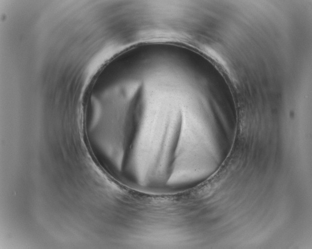X0000088721472200706141601