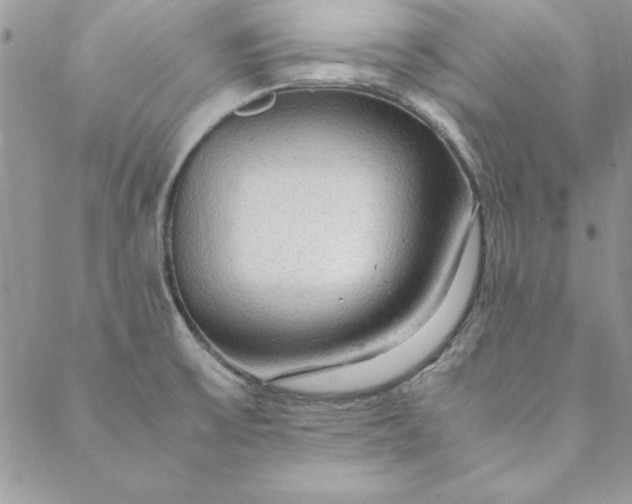X0000088721475200706141601