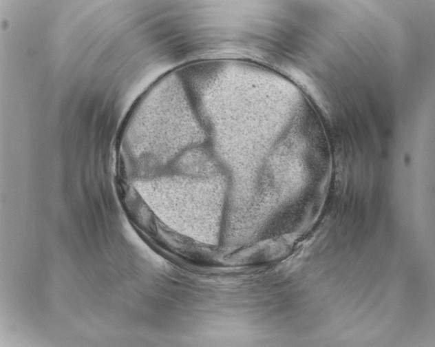 X0000088721476200706141601