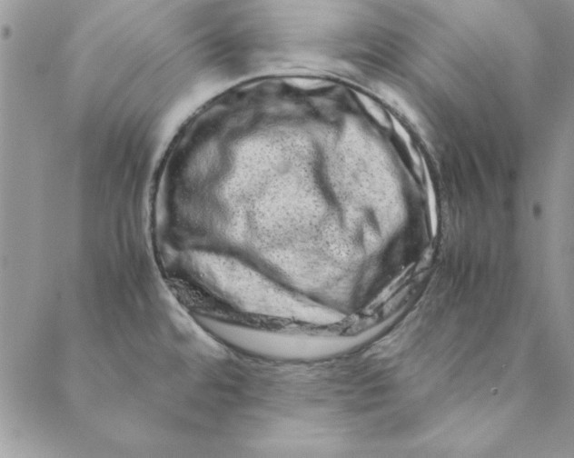 X0000088721480200706141601