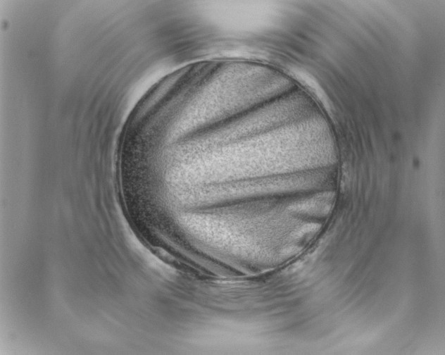X0000088721483200706141601