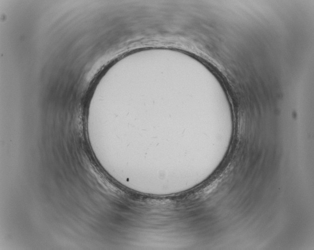 X0000088721498200706141600