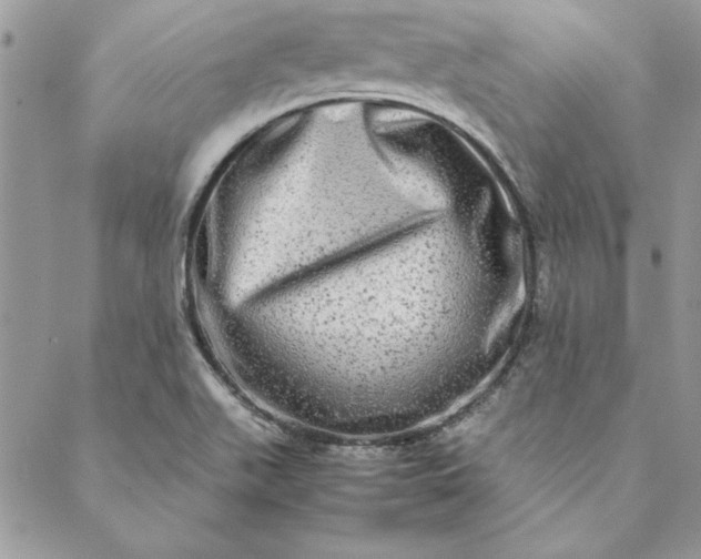X0000088721511200706141600