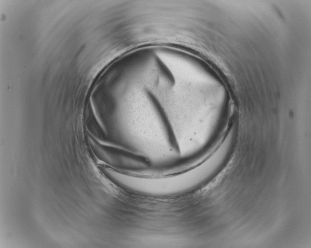 X0000088721513200706141600