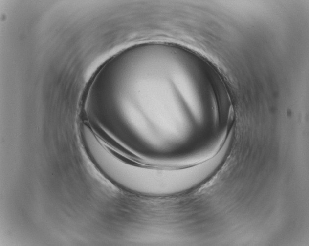 X0000088721518200706141600