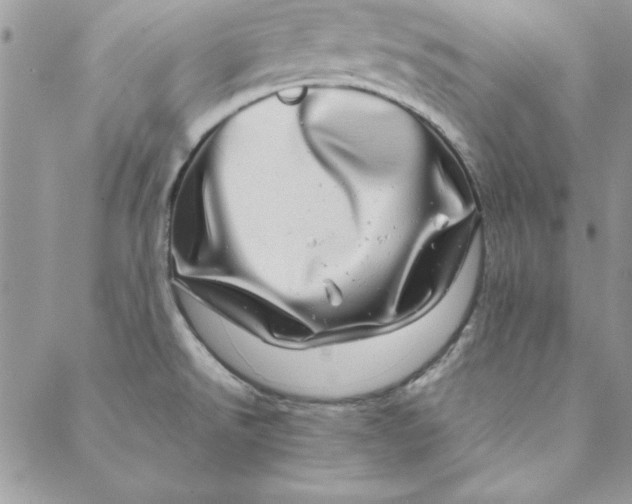 X0000088721526200706141600