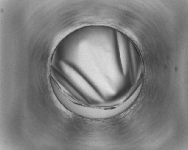 X0000088721528200706141600