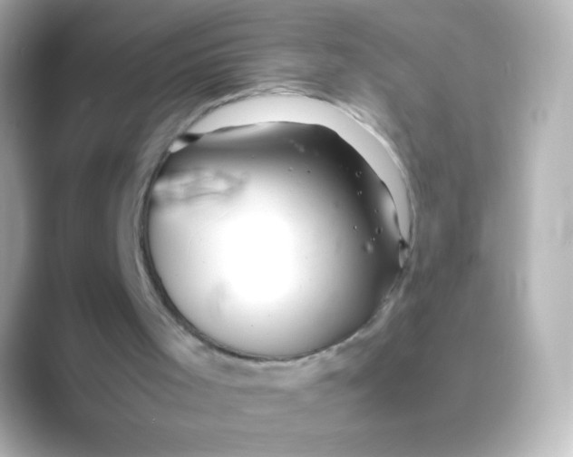 X0000088720001200706212029