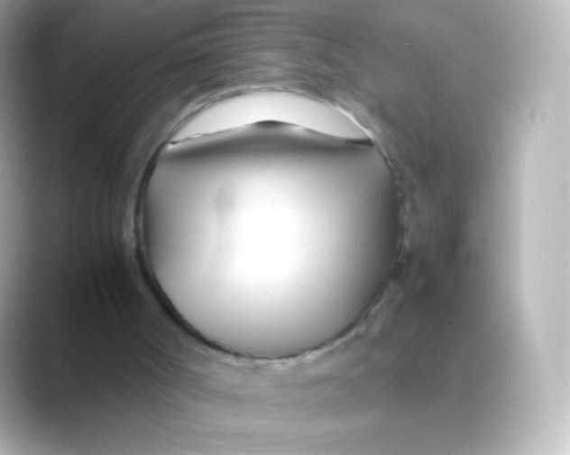 X0000088720002200706212029