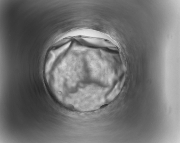 X0000088720003200706212029