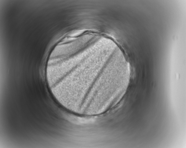 X0000088720004200706212029