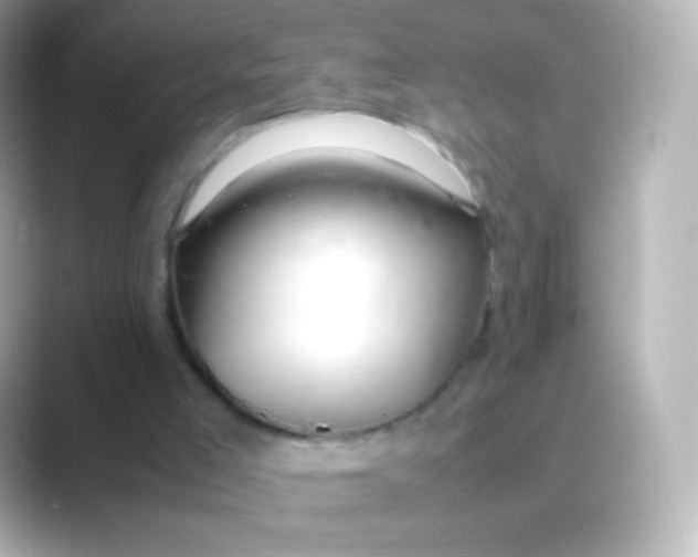 X0000088720005200706212029